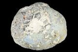 Las Choyas Coconut Geode Half with Agate & Amethyst - Mexico #180556-2